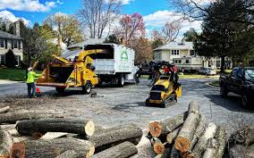 Best Storm Damage Tree Cleanup  in Sharon, PA